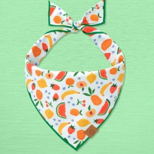 Fruit Salad Dog Bandana (Made in the USA) (FINAL SALE)