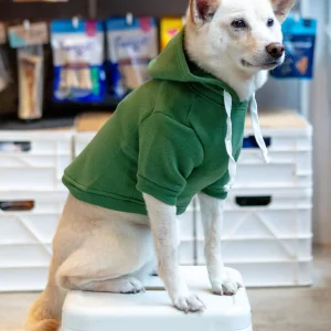 Pullover Dog Hoodie in Green