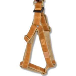 Golden Waxed Dog Harness (Made in the USA)