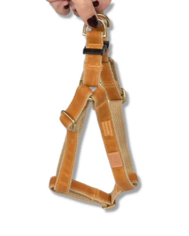 Golden Waxed Dog Harness (Made in the USA)