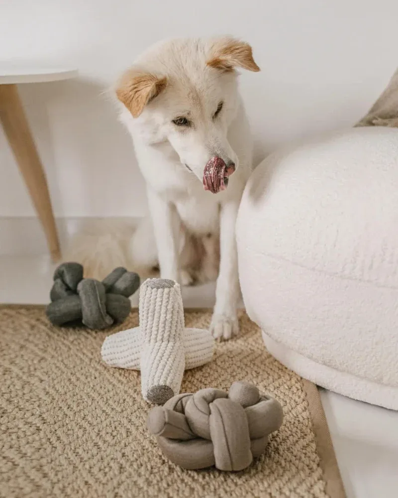 Nou Interactive Silent Dog Toy in Tan