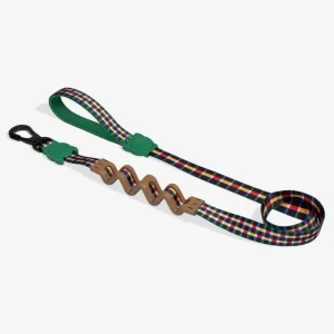 Ruff Leash for Dogs in Travis