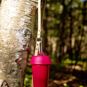 Flip Top Travel Water Bottle for Dogs
