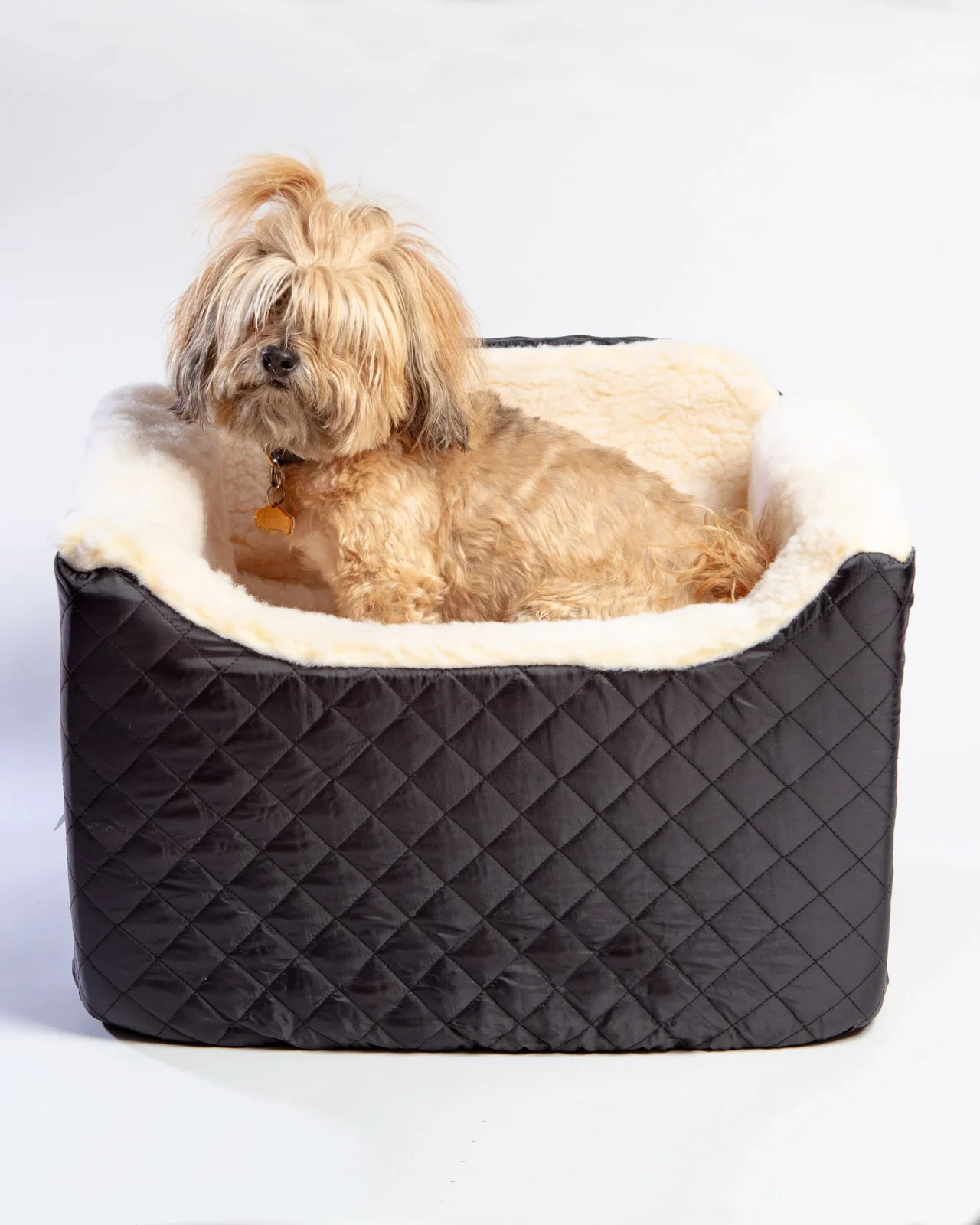 Lookout Dog Car Seat (Made in the USA) (Direct-Ship)