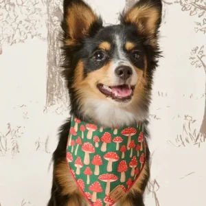 Mushroom Meadow Cotton Dog Bandana (Made in the USA) (FINAL SALE)