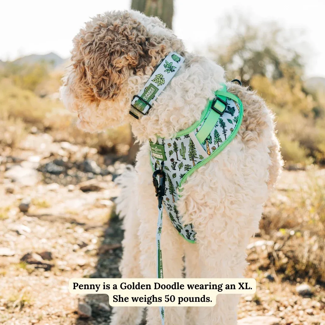 Lucy & Co. x Parks Project Feel the Earth Breathe No-Pull Harness - Image 2