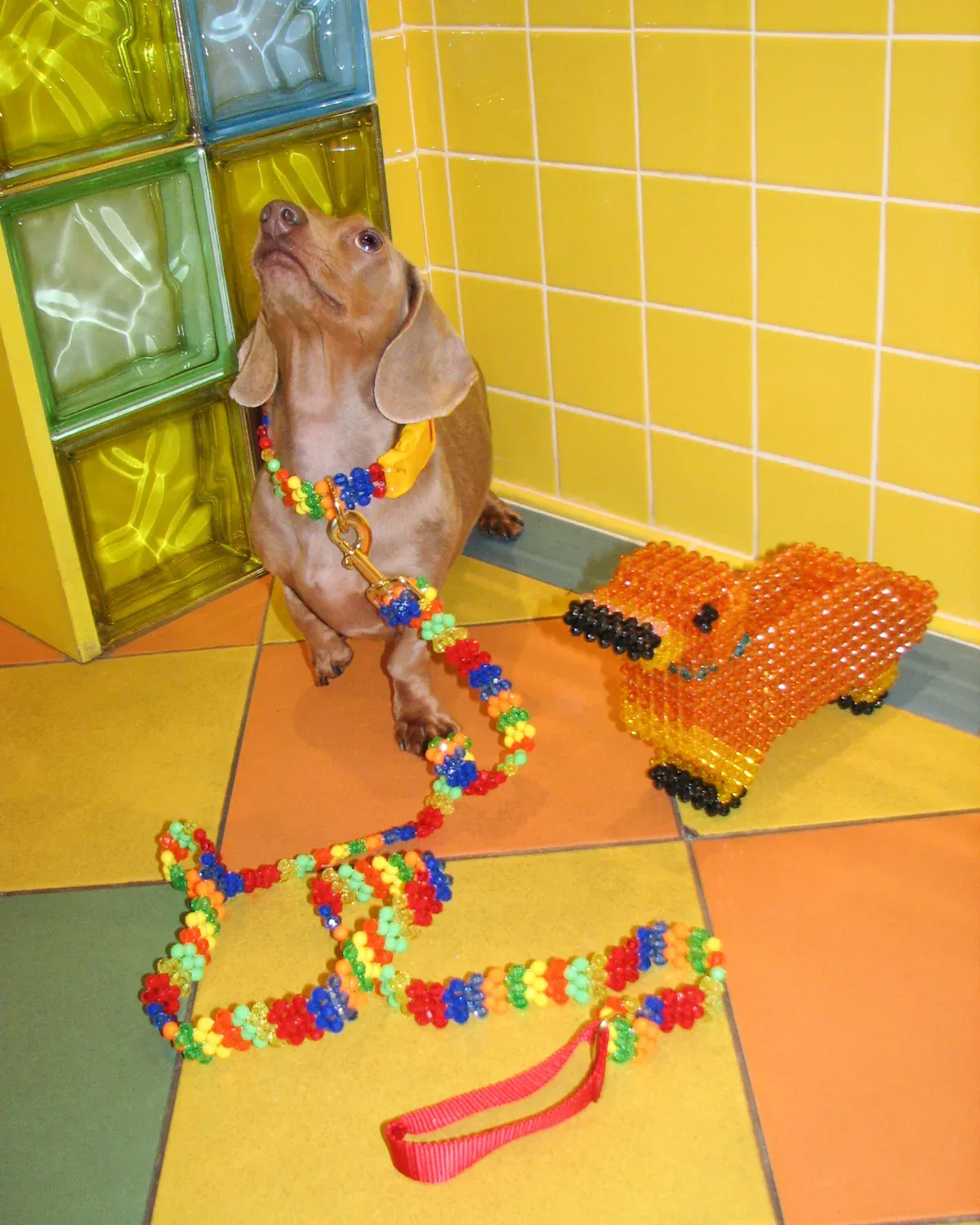 Beaded Dog Collar in Playdate (Made in the USA) - Image 2