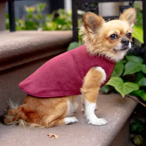 Double-Fleece Reversible Dog Pullover in Red Velvet Cake & Huckleberry