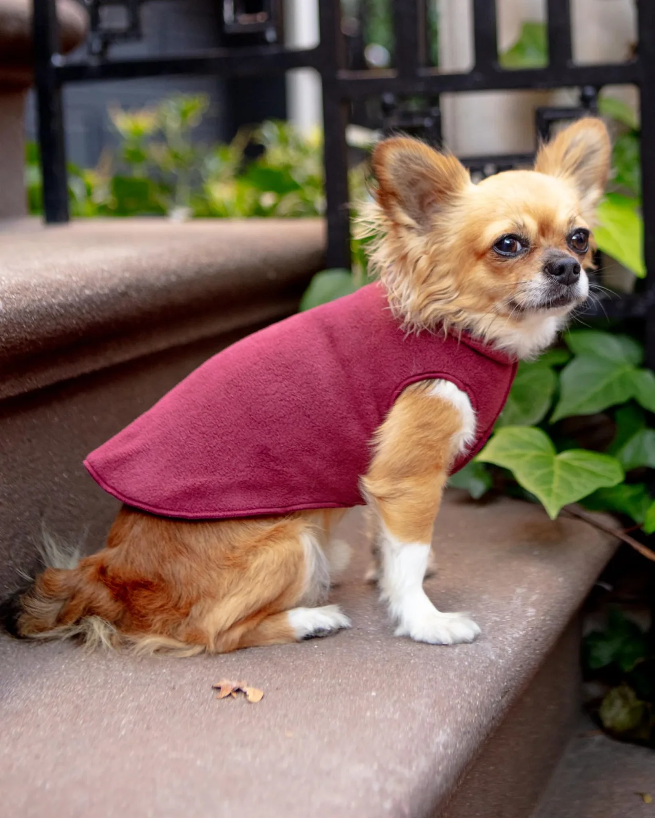 Double-Fleece Reversible Dog Pullover in Red Velvet Cake & Huckleberry
