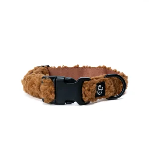 Cinnamon Teddy Collar