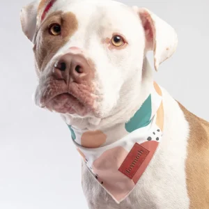 Abstract Boho Print Dog Bandana(FINAL SALE)