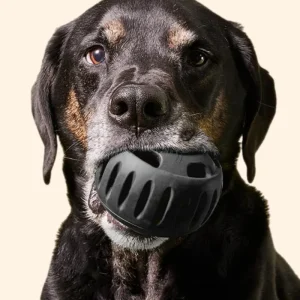 The Power Chewer Pupsicle Enrichment Dog Toy