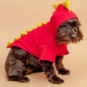Doggie Dragon Sweatshirt