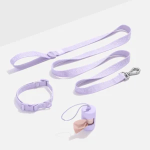 Quick-Release Collar + Lightweight Leash Walk Kit