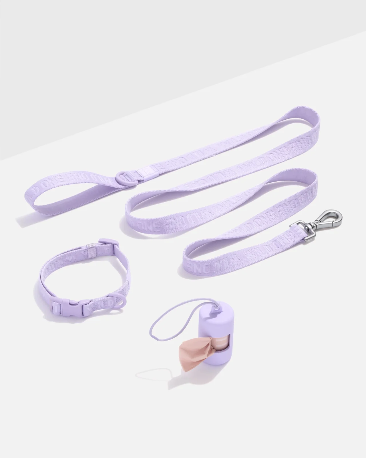 Quick-Release Collar + Lightweight Leash Walk Kit