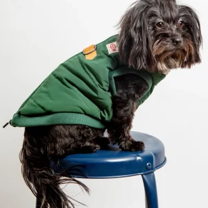 Warm Up Harness Jacket in Deep Green (FINAL SALE)