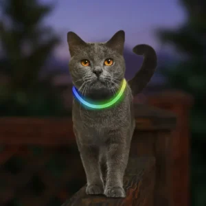 NITEMEOW® Rechargeable Led Safety Cat Necklace