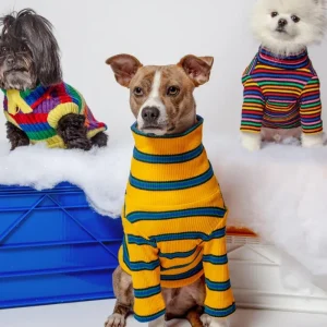 Back To School Ribbed Dog Pullover