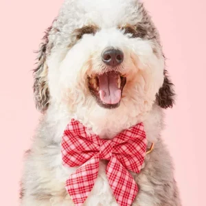 HTH X TFD Katherine Plaid Lady Dog (FINAL SALE)