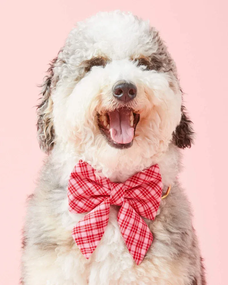HTH X TFD Katherine Plaid Lady Dog (FINAL SALE)