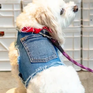 Paisley Bandana Denim Dog Harness (Made in the USA) (Dog & Co. Exclusive)