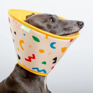 Dog Recovery Cone E-Collar