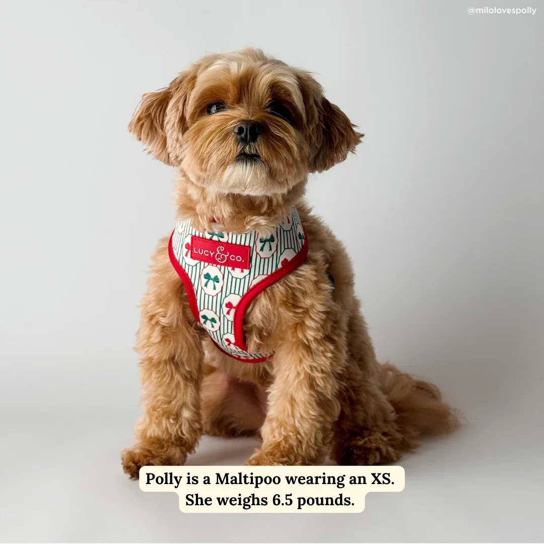 Wrap it Up Reversible Harness - Image 2