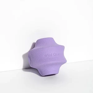 Twist Toss Dog Toy in Lilac