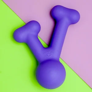 Funnybone Silicone Dog Toy (FINAL SALE)