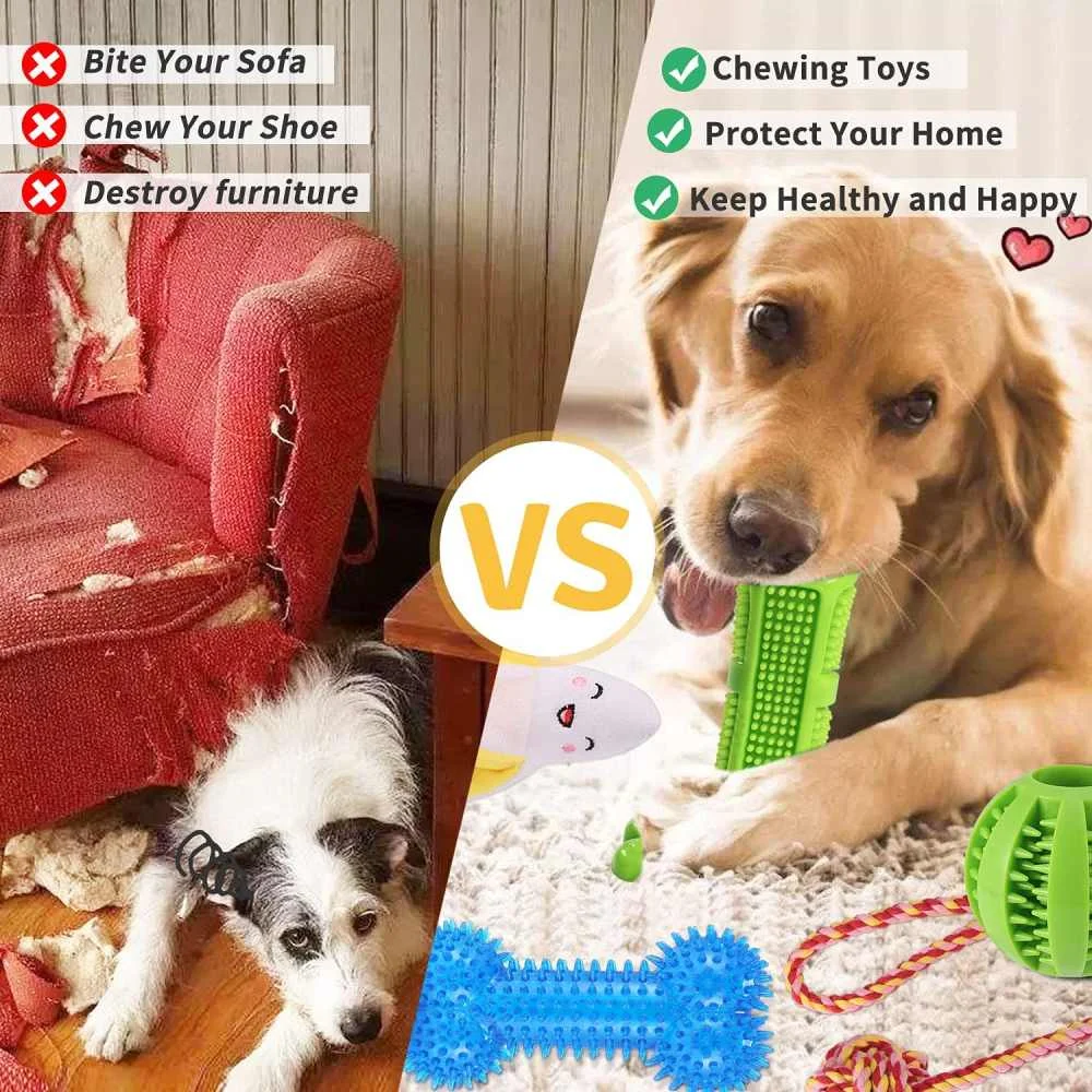 Eighteen Piece Puppy Toy Set - Image 2