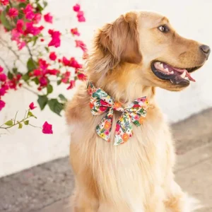 Rifle Paper Co. x TFD Garden Party Spring Lady Dog Bow (Made in the USA)