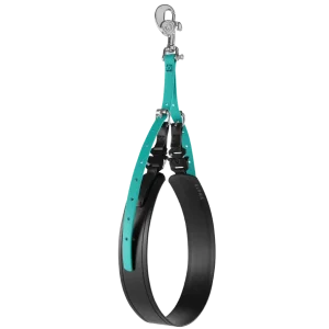 AXL Belly Band Teal With Three Sizes by Alpha Grooming