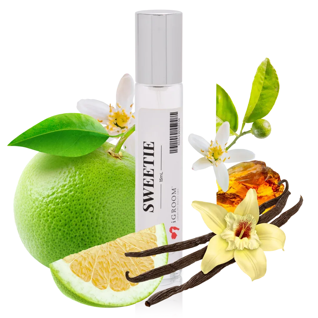 Sweetie Perfume 15ml by iGroom - Image 2