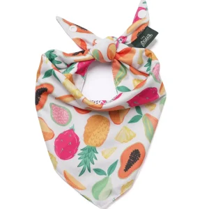 Fruit Salad Cooling Dog Bandana (FINAL SALE)