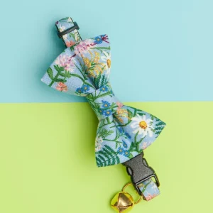 The Oopsie Daisy Cat Collar & Bow Tie Set