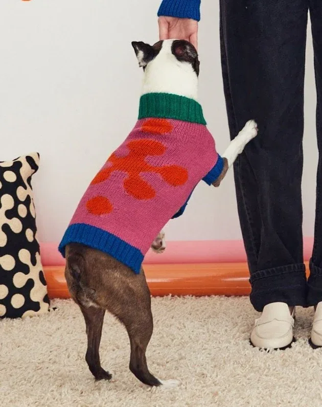 Flower Dog Sweater (FINAL SALE)