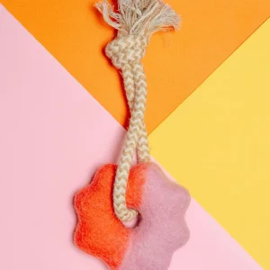 Wheely Good Time Felt & Rope Dog Tug Toy