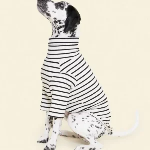 World's Your Oyster Dog Pullover Shirt