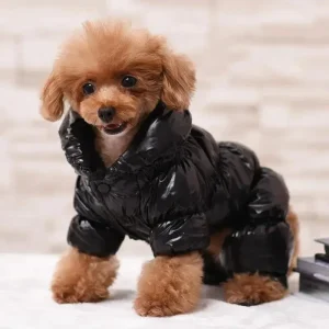 Water-Resistant Puffer Onesie in Black (FINAL SALE)