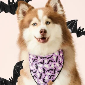 Spooky Season Glow-in-the-Dark Reversible Dog Bandana (Made in the USA)