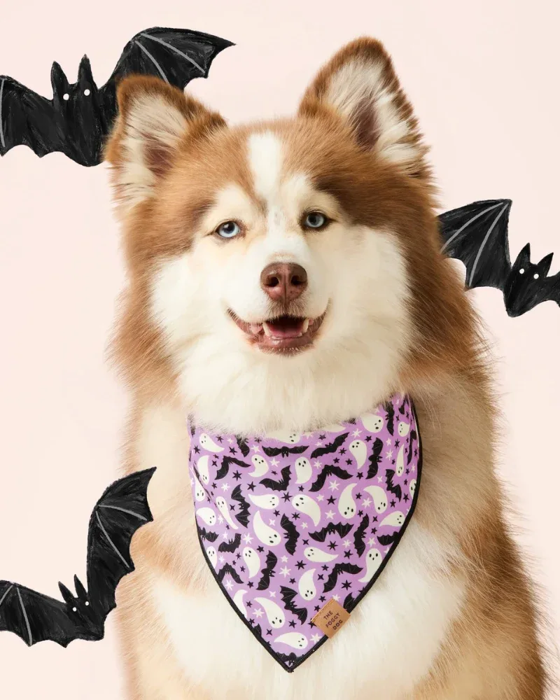 Spooky Season Glow-in-the-Dark Reversible Dog Bandana (Made in the USA)