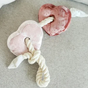 Heart Blocs Interactive Tug Dog Toy