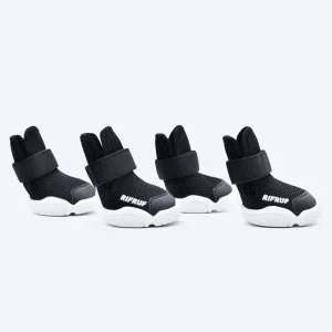 Caesar Dog Sneakers in Black