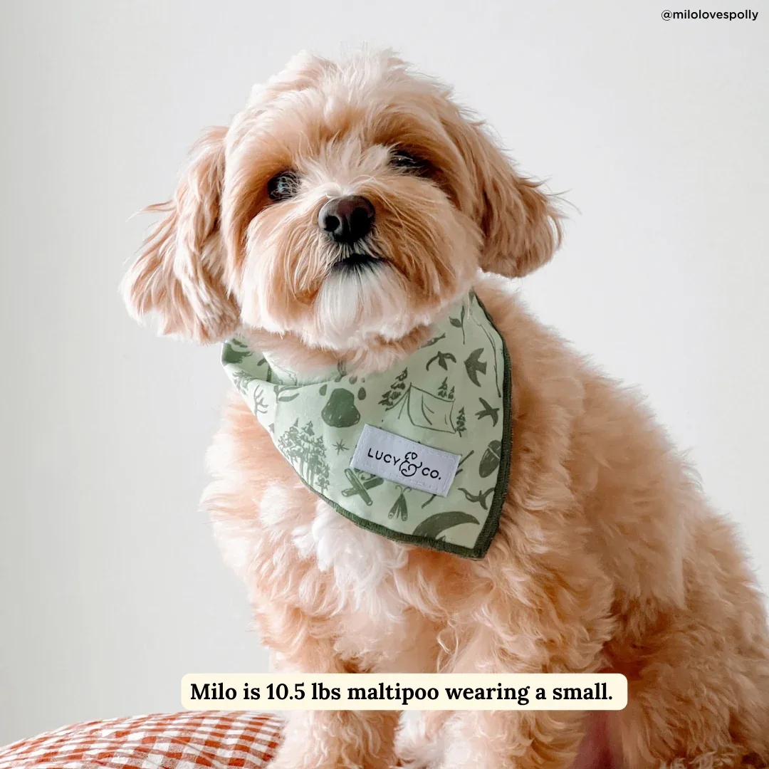 Camp Out Bandana - Image 2