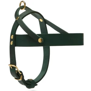 Butter Leather Dog Harness in Forest Green (Made in Austria)