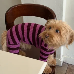PBJ Ribbed Dog Onesie in Purple & Brown