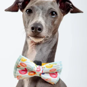 Summer Floats Dog Bow-Tie(Made in the USA) (FINAL SALE)