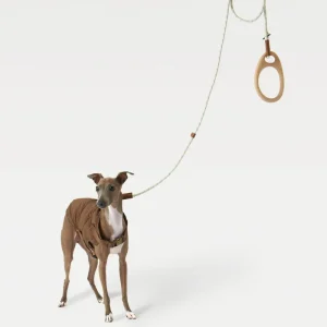 Ash Wood Handle Dog Leash