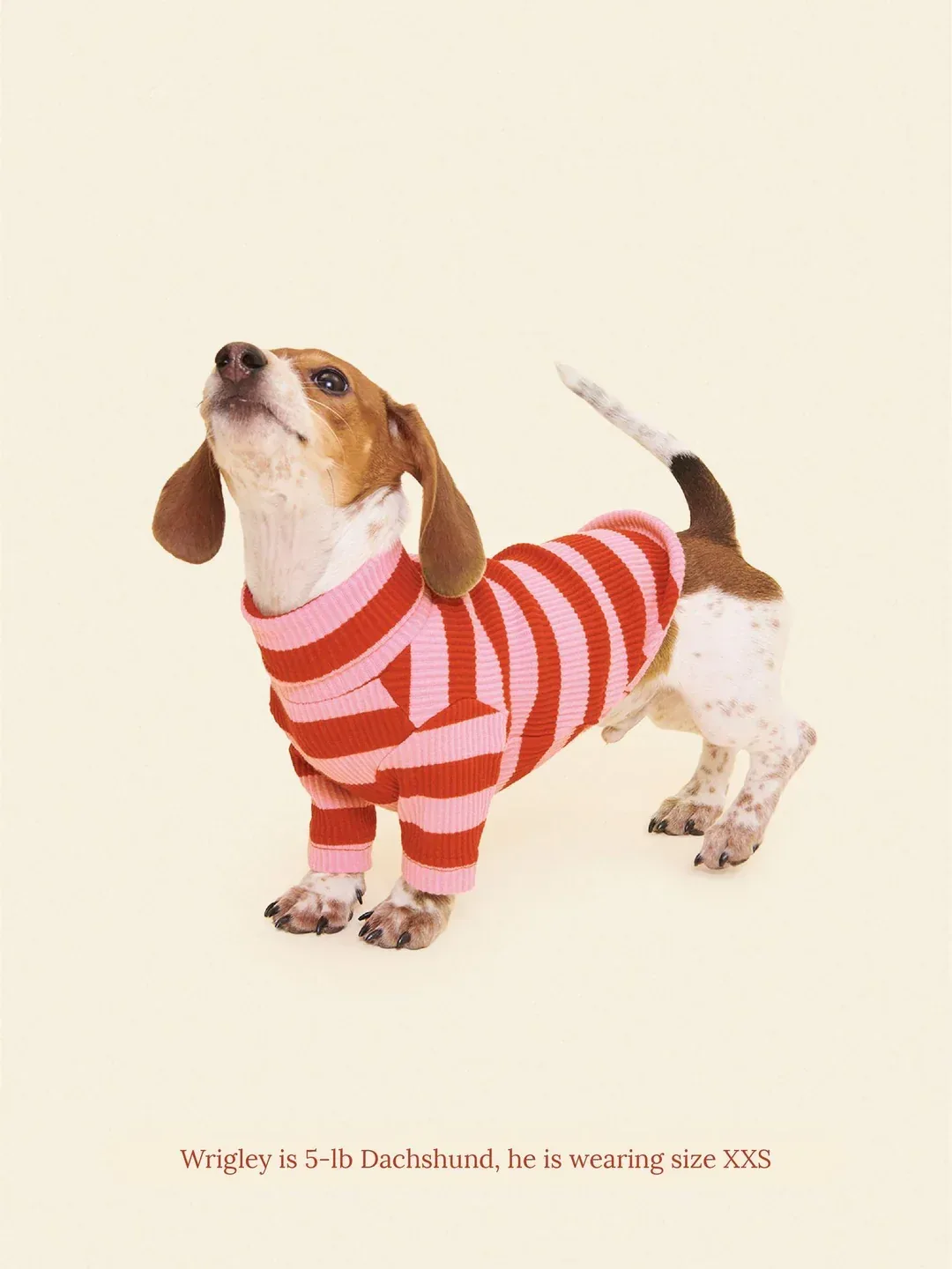 Kiss Me Ribbed Dog Shirt (FINAL SALE)