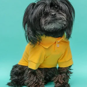 Ray of Sunshine Doggie Polo Shirt <>
